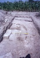 Cronica Cercetărilor Arheologice din România, Campania 2003. Raportul nr. 79