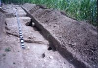 Cronica Cercetărilor Arheologice din România, Campania 2003. Raportul nr. 79