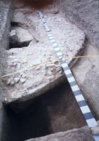 Cronica Cercetărilor Arheologice din România, Campania 2003. Raportul nr. 79