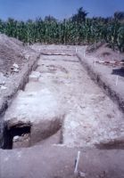 Cronica Cercetărilor Arheologice din România, Campania 2003. Raportul nr. 79