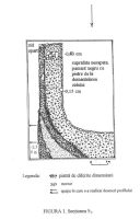 Cronica Cercetărilor Arheologice din România, Campania 2003. Raportul nr. 85