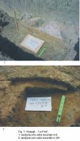 Cronica Cercetărilor Arheologice din România, Campania 2003. Raportul nr. 87