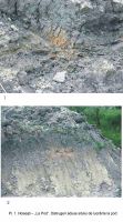 Cronica Cercetărilor Arheologice din România, Campania 2003. Raportul nr. 87