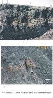 Cronica Cercetărilor Arheologice din România, Campania 2003. Raportul nr. 87