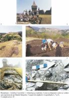 Cronica Cercetărilor Arheologice din România, Campania 2003. Raportul nr. 88