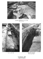 Cronica Cercetărilor Arheologice din România, Campania 2003. Raportul nr. 91