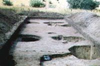 Cronica Cercetărilor Arheologice din România, Campania 2003. Raportul nr. 94