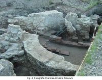 Cronica Cercetărilor Arheologice din România, Campania 2003. Raportul nr. 95