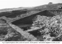 Cronica Cercetărilor Arheologice din România, Campania 2003. Raportul nr. 97.<br /> Sectorul sectorIAB.