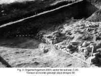 Cronica Cercetărilor Arheologice din România, Campania 2003. Raportul nr. 97.<br /> Sectorul sectorIAB.