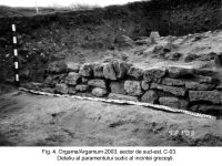 Cronica Cercetărilor Arheologice din România, Campania 2003. Raportul nr. 97.<br /> Sectorul sectorIAB.