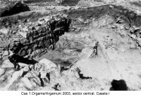 Cronica Cercetărilor Arheologice din România, Campania 2003. Raportul nr. 97.<br /> Sectorul sectorICEM.