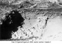 Cronica Cercetărilor Arheologice din România, Campania 2003. Raportul nr. 97.<br /> Sectorul sectorICEM.