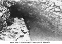 Cronica Cercetărilor Arheologice din România, Campania 2003. Raportul nr. 97.<br /> Sectorul sectorICEM.