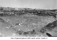 Cronica Cercetărilor Arheologice din România, Campania 2003. Raportul nr. 97.<br /> Sectorul sectorICEM.