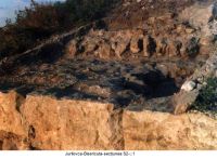 Cronica Cercetărilor Arheologice din România, Campania 2003. Raportul nr. 98
