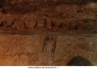 Cronica Cercetărilor Arheologice din România, Campania 2003. Raportul nr. 98