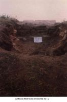 Cronica Cercetărilor Arheologice din România, Campania 2003. Raportul nr. 98