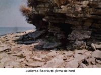 Cronica Cercetărilor Arheologice din România, Campania 2003. Raportul nr. 98