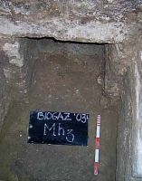 Cronica Cercetărilor Arheologice din România, Campania 2003. Raportul nr. 106