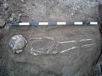 Cronica Cercetărilor Arheologice din România, Campania 2003. Raportul nr. 110