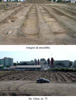 Cronica Cercetărilor Arheologice din România, Campania 2003. Raportul nr. 113