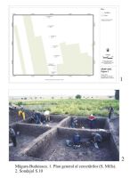 Cronica Cercetărilor Arheologice din România, Campania 2003. Raportul nr. 117