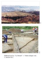 Cronica Cercetărilor Arheologice din România, Campania 2003. Raportul nr. 118