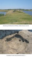 Cronica Cercetărilor Arheologice din România, Campania 2003. Raportul nr. 119