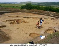 Cronica Cercetărilor Arheologice din România, Campania 2003. Raportul nr. 124