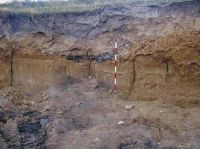 Cronica Cercetărilor Arheologice din România, Campania 2003. Raportul nr. 128