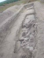 Cronica Cercetărilor Arheologice din România, Campania 2003. Raportul nr. 134