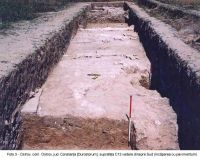 Cronica Cercetărilor Arheologice din România, Campania 2003. Raportul nr. 136
