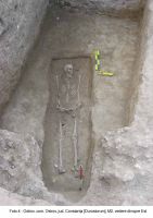 Cronica Cercetărilor Arheologice din România, Campania 2003. Raportul nr. 136