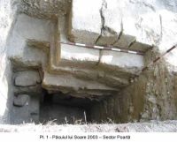Cronica Cercetărilor Arheologice din România, Campania 2003. Raportul nr. 137