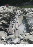 Cronica Cercetărilor Arheologice din România, Campania 2003. Raportul nr. 137