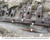 Cronica Cercetărilor Arheologice din România, Campania 2003. Raportul nr. 137