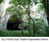 Cronica Cercetărilor Arheologice din România, Campania 2003. Raportul nr. 139