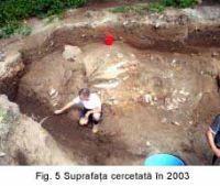 Cronica Cercetărilor Arheologice din România, Campania 2003. Raportul nr. 139