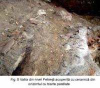 Cronica Cercetărilor Arheologice din România, Campania 2003. Raportul nr. 139