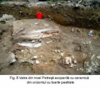 Cronica Cercetărilor Arheologice din România, Campania 2003. Raportul nr. 139