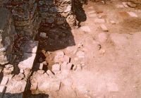 Cronica Cercetărilor Arheologice din România, Campania 2003. Raportul nr. 142