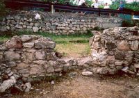 Cronica Cercetărilor Arheologice din România, Campania 2003. Raportul nr. 142