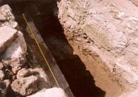 Cronica Cercetărilor Arheologice din România, Campania 2003. Raportul nr. 142