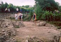 Cronica Cercetărilor Arheologice din România, Campania 2003. Raportul nr. 142