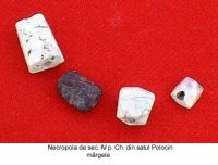 Cronica Cercetărilor Arheologice din România, Campania 2003. Raportul nr. 147