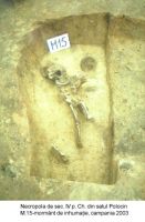 Cronica Cercetărilor Arheologice din România, Campania 2003. Raportul nr. 147