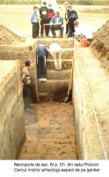 Cronica Cercetărilor Arheologice din România, Campania 2003. Raportul nr. 147