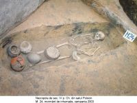 Cronica Cercetărilor Arheologice din România, Campania 2003. Raportul nr. 147