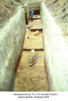 Cronica Cercetărilor Arheologice din România, Campania 2003. Raportul nr. 147